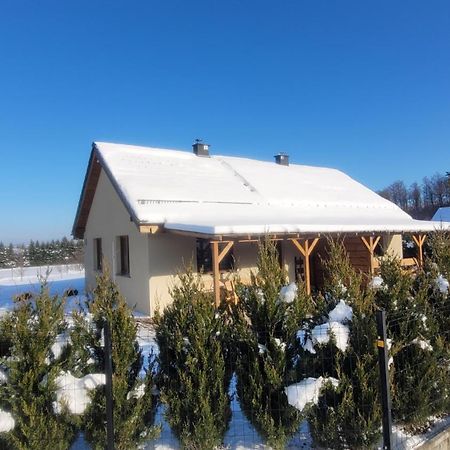 Domek W Karkonoszach 2 Villa Ściegny Buitenkant foto